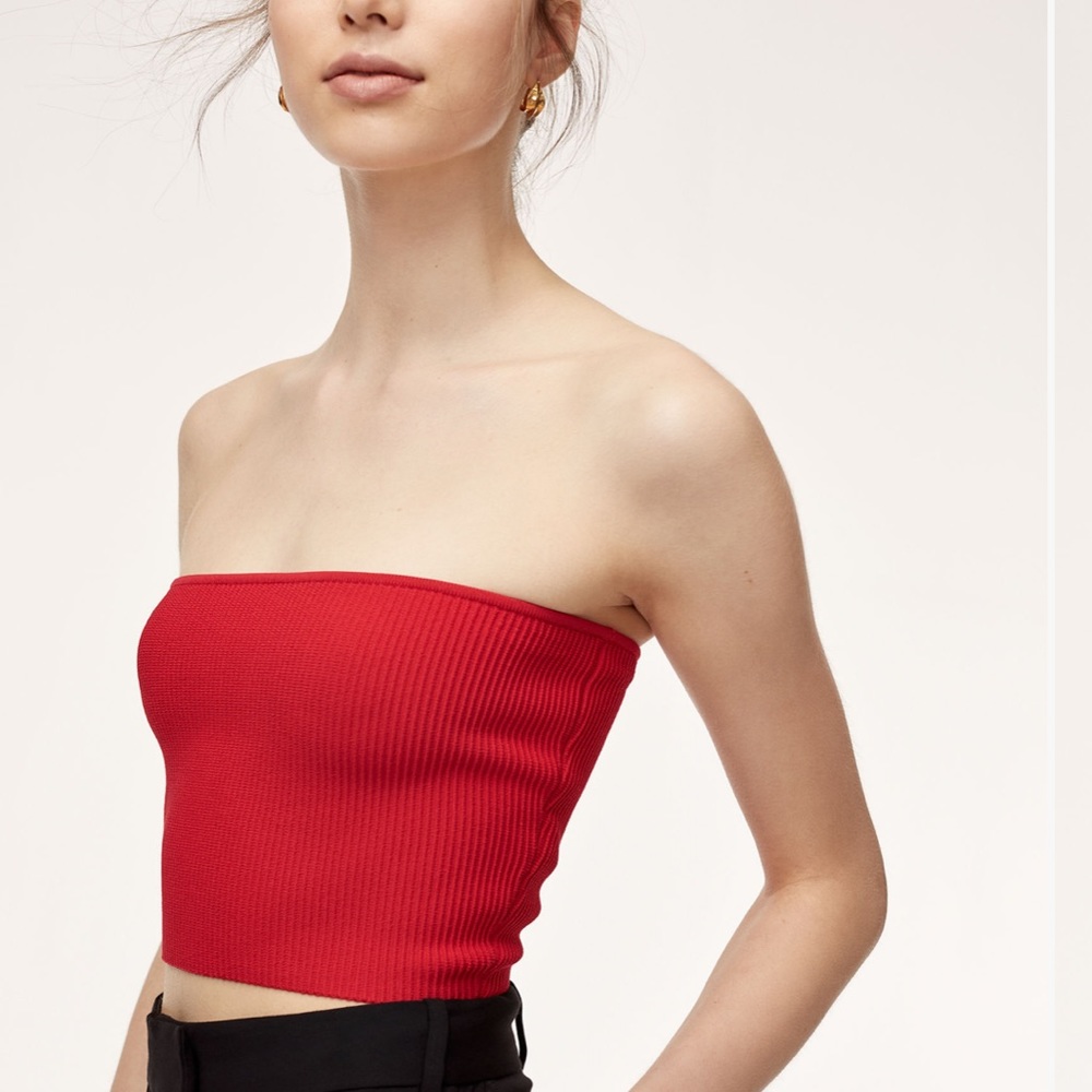 Aritzia essamba tube too (Camille)